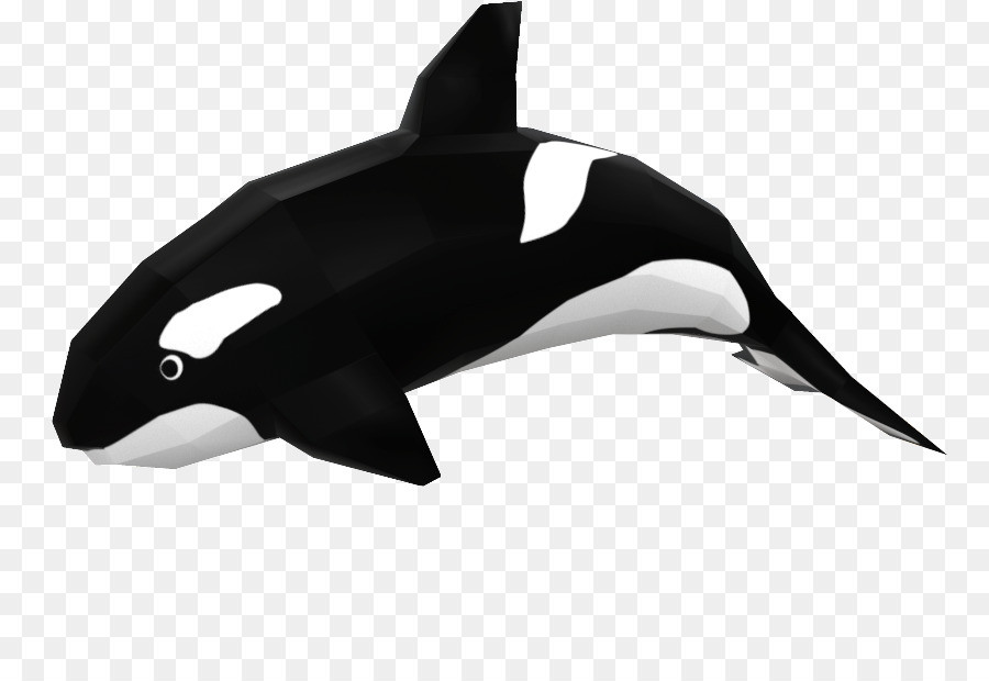 Whitebeaked Dolphin，Tubarão PNG