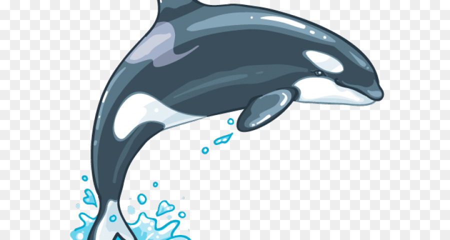 Golfinho Comum，Baleia Assassina PNG