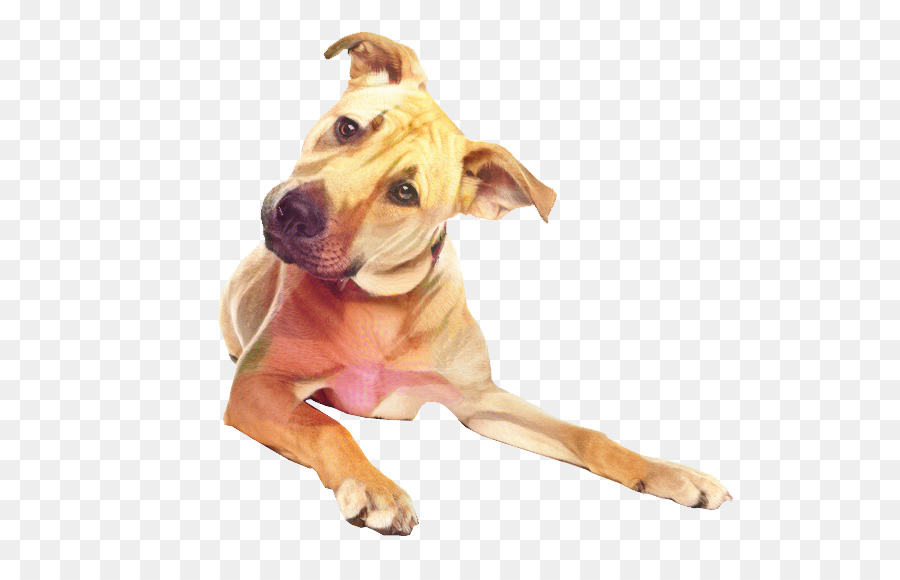 Raça Do Cão，American Pit Bull Terrier PNG
