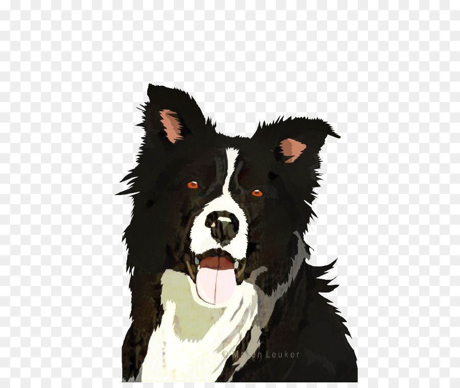 Border Collie，Rough Collie PNG