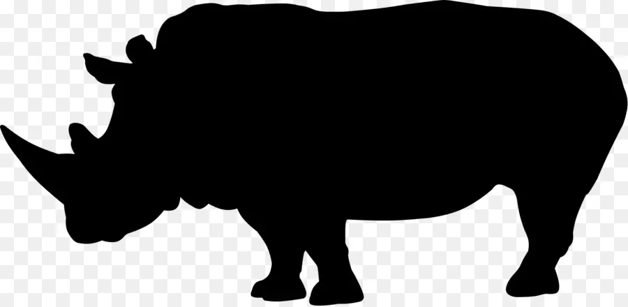 Rinoceronte，Desenho PNG