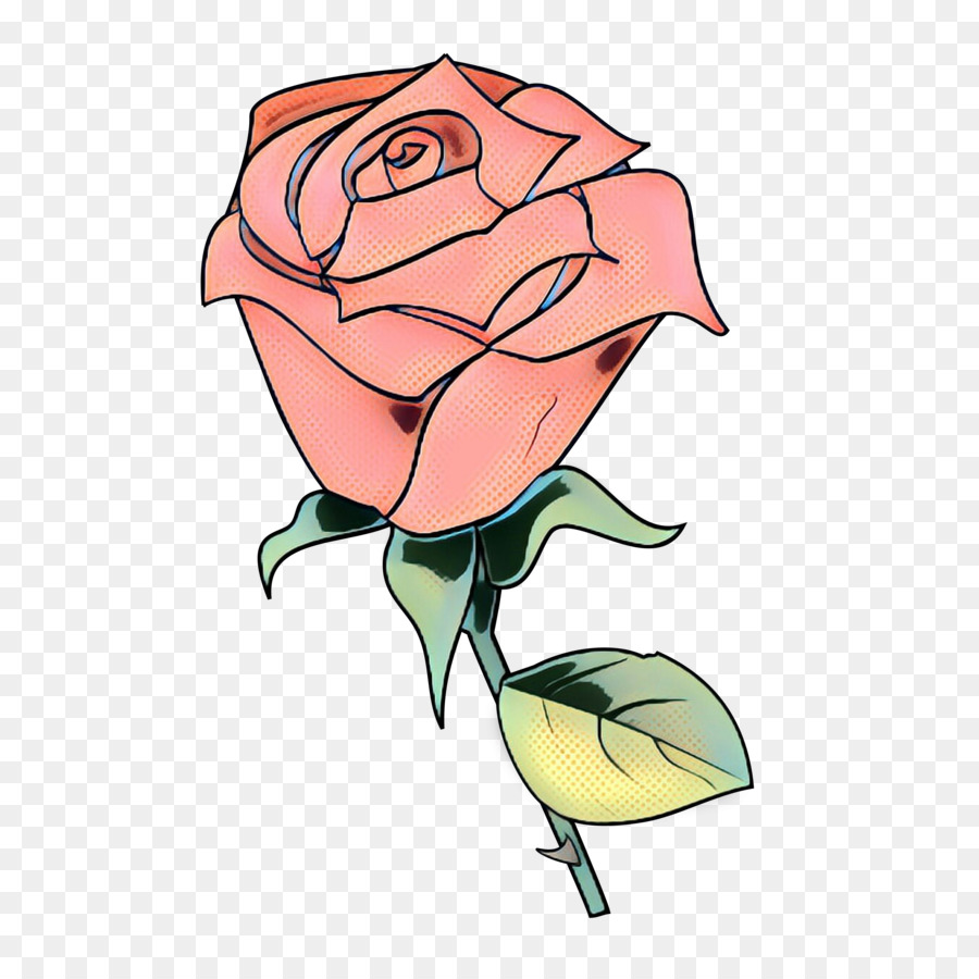 Rosas，Florescer PNG