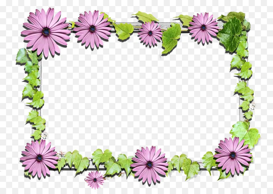 Molduras，Design Floral PNG