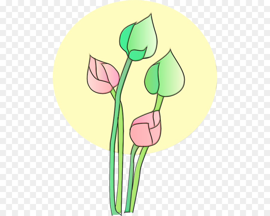 Design Floral，Tulip PNG