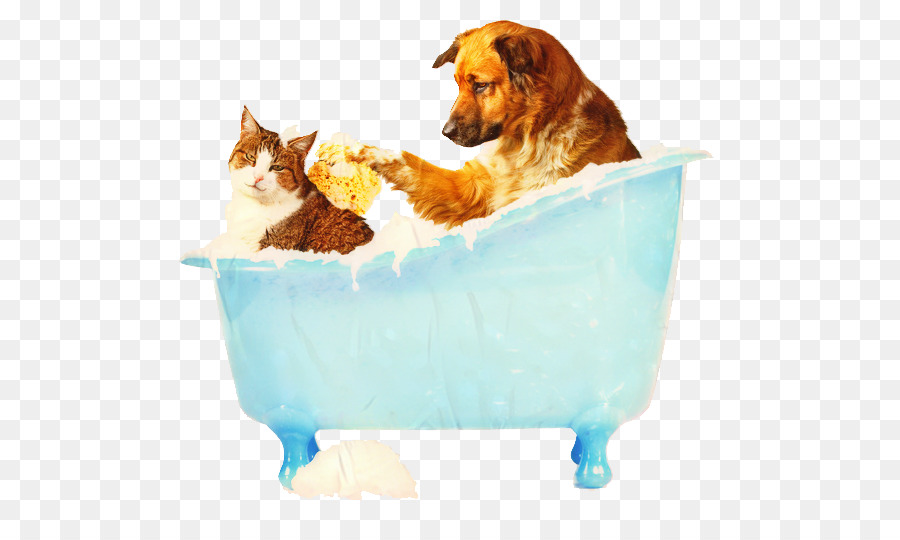 Cachorro，Gato PNG