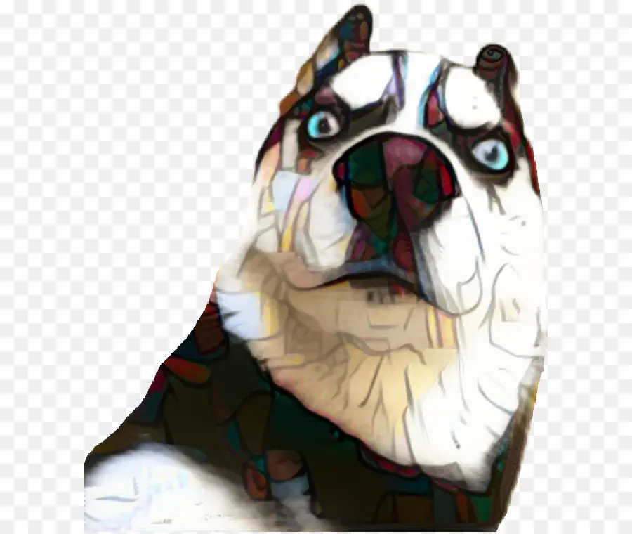 Cachorro Colorido，Cachorro PNG