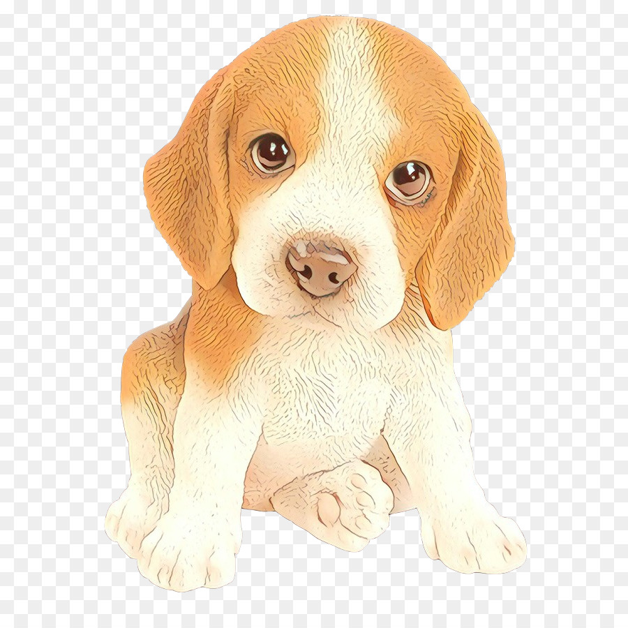 Beagle，Bolso Beagle PNG