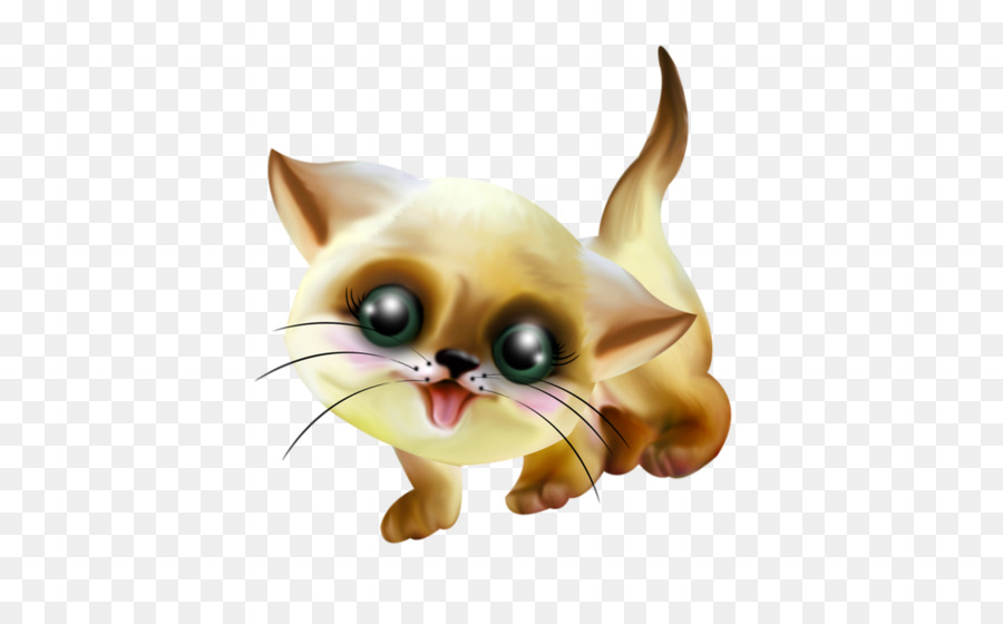 Gatinho，Gato PNG