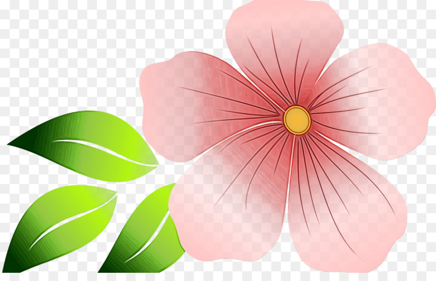 Flor Rosa，Florescer PNG