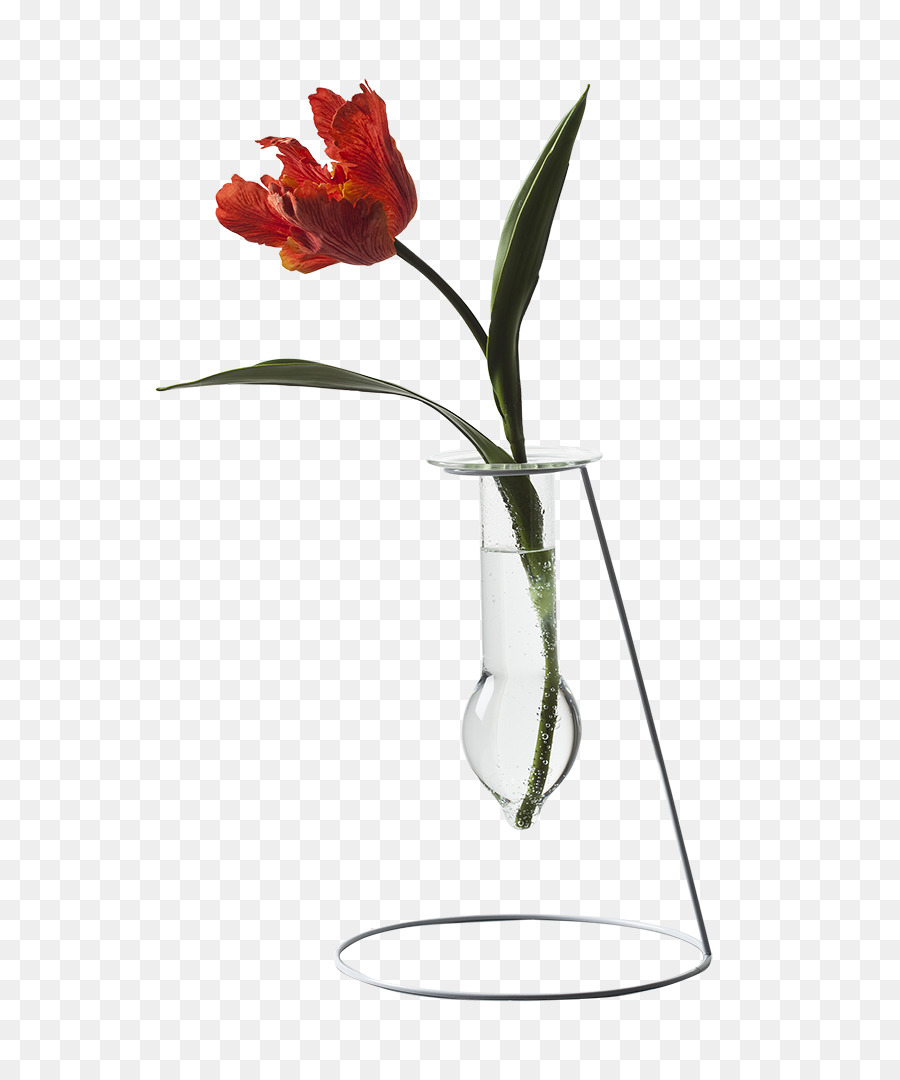 Design Floral，Vaso PNG