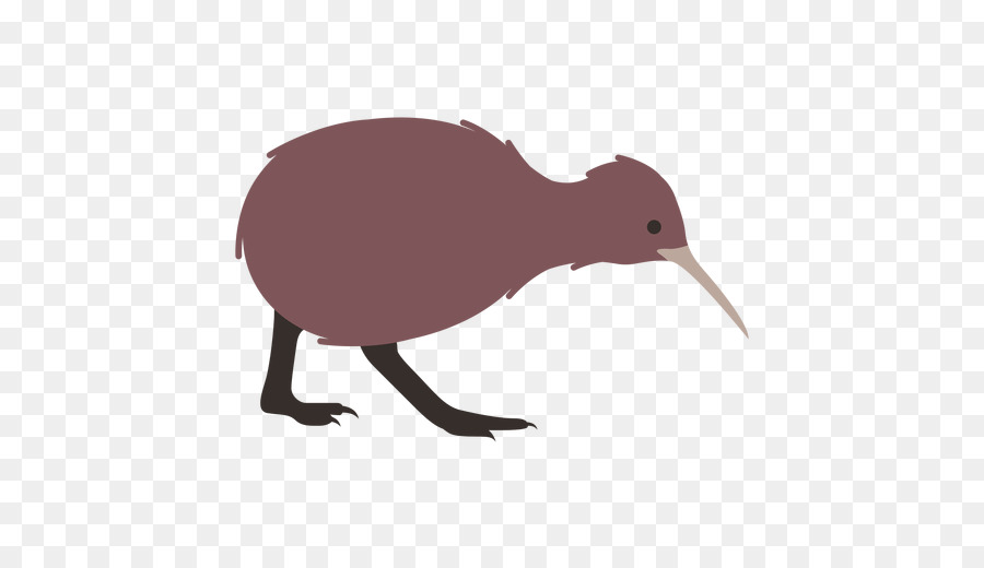 Kiwi，Bico PNG