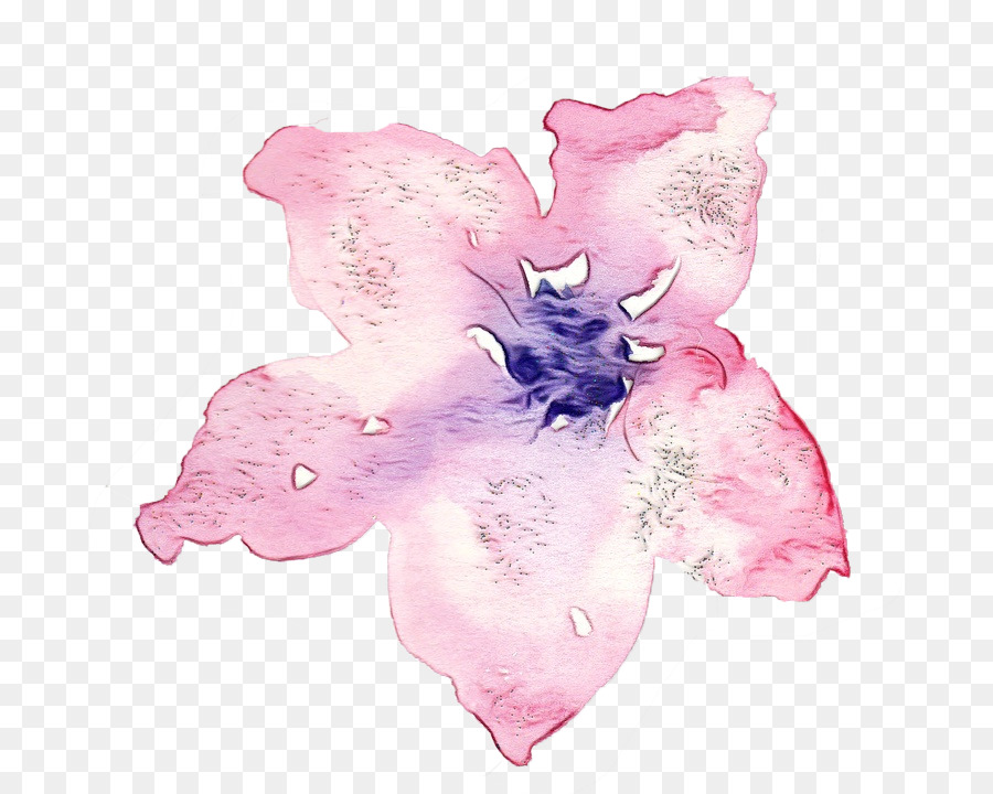 Traça Orquídeas，Família Rosa PNG