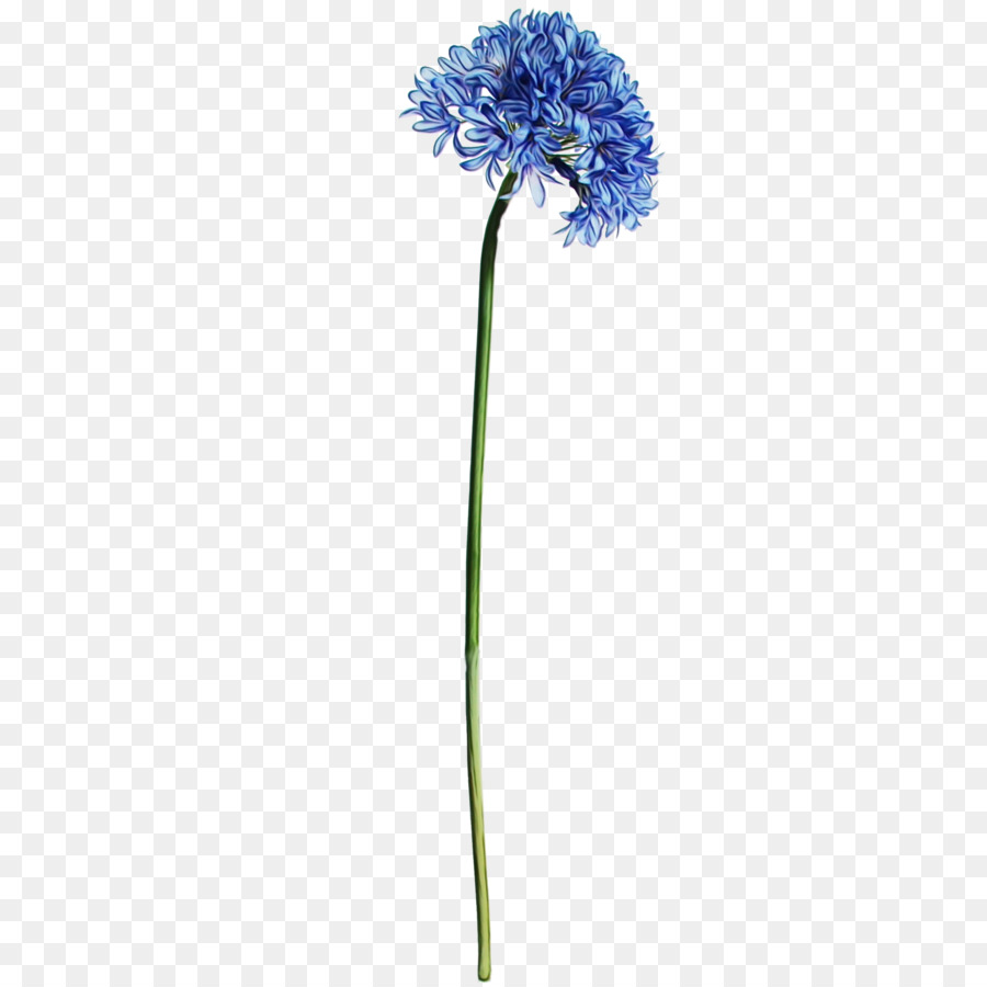 Flor Azul，Tronco PNG