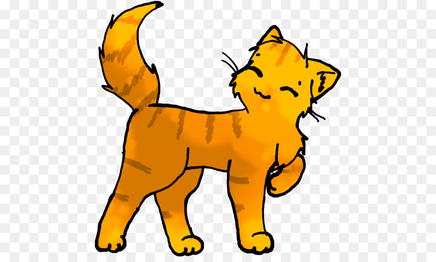 Gato Laranja，Gatinho PNG