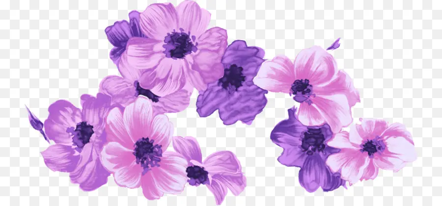 Flor，Roxo PNG