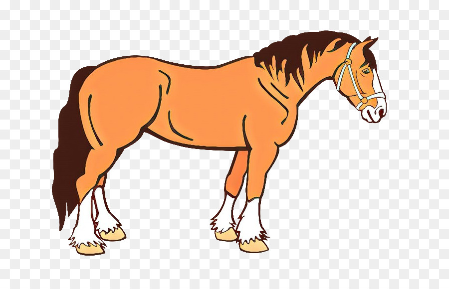 Cavalo，Equino PNG