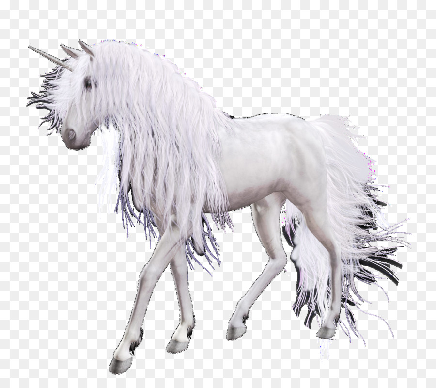 Unicórnio Branco，Fantasia PNG