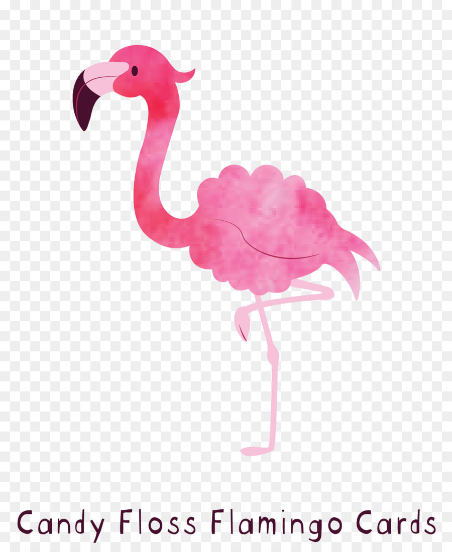 Flamingo，Pássaro PNG