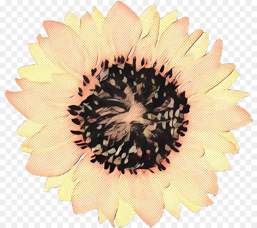 Girassol Amarelo，Flor PNG