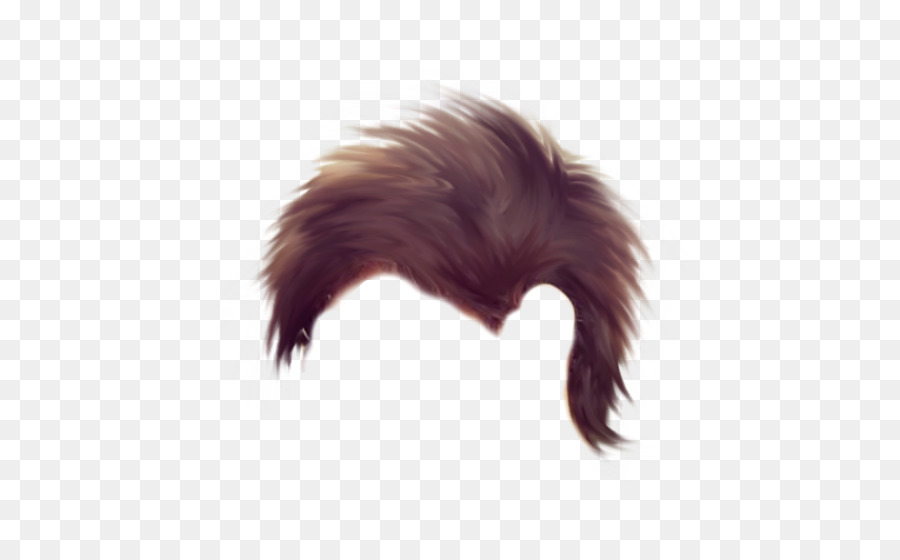 Cabelo Espetado，Marrom PNG