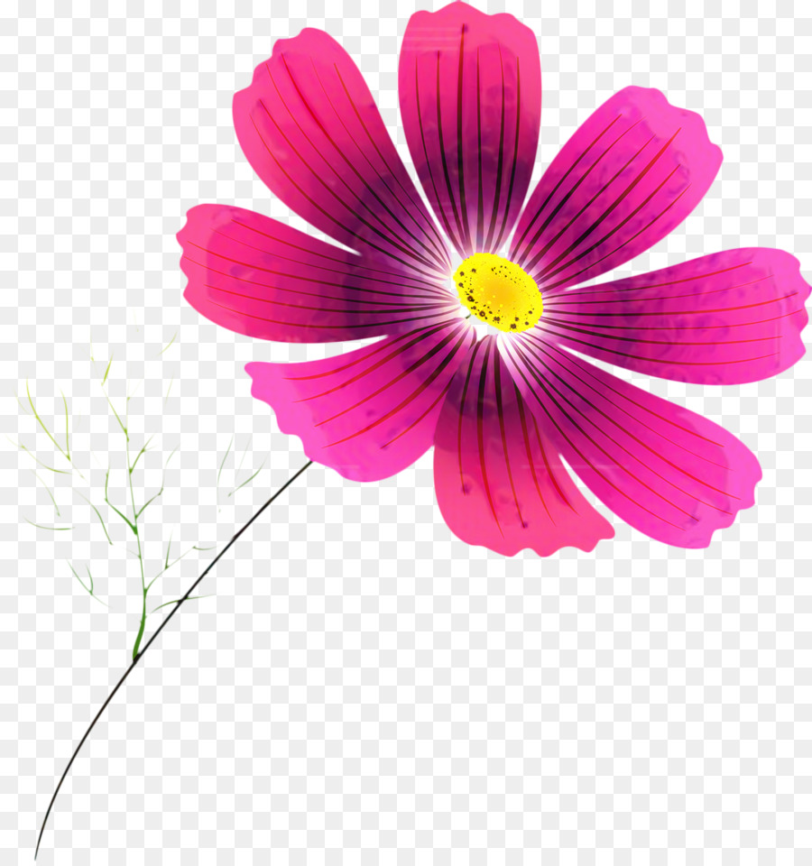 Flor Rosa，Florescer PNG