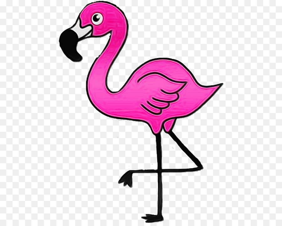 Flamingo，Fofura PNG