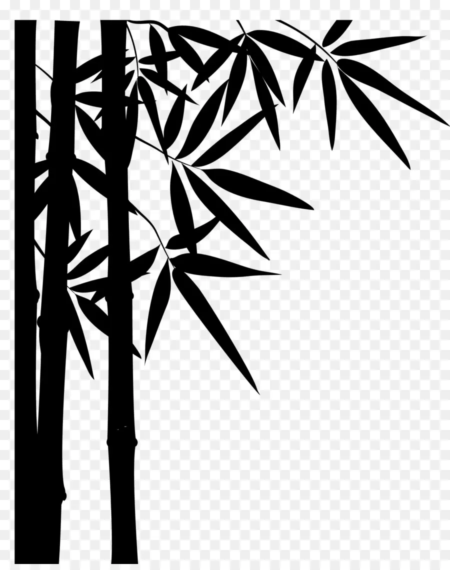 Tropical Woody Bambus，Bambuseae PNG