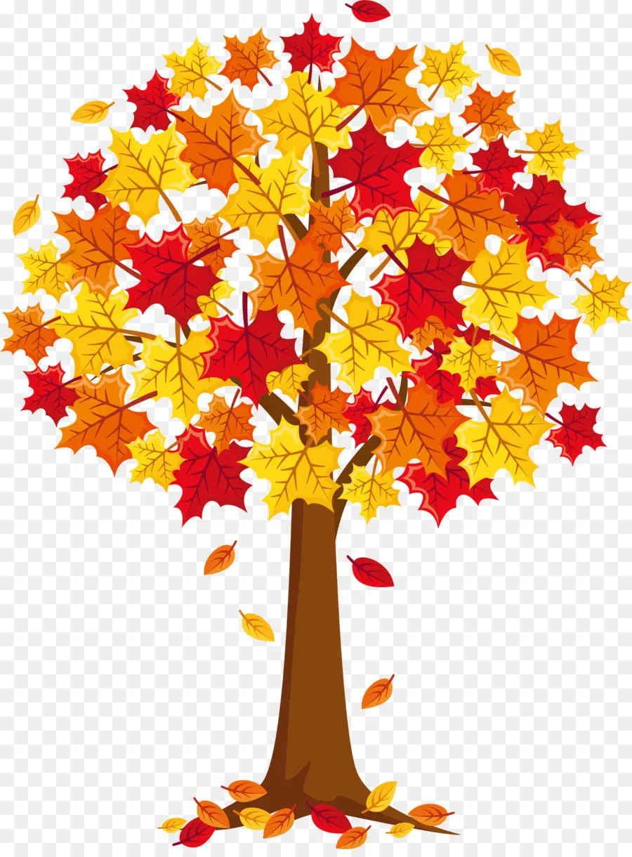 Maple，Maple Leaf PNG