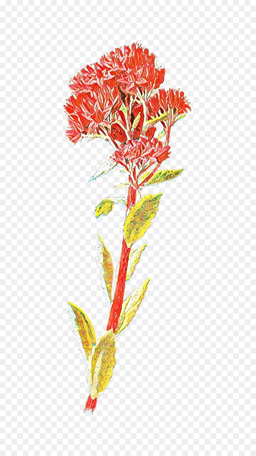 Rosa，Flores De Corte PNG
