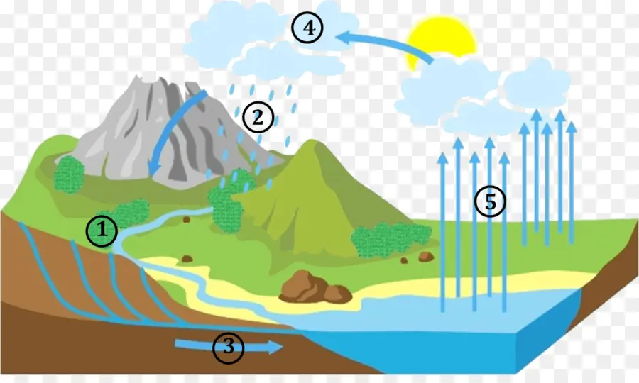 Diagrama Do Ciclo Da Água，Água PNG