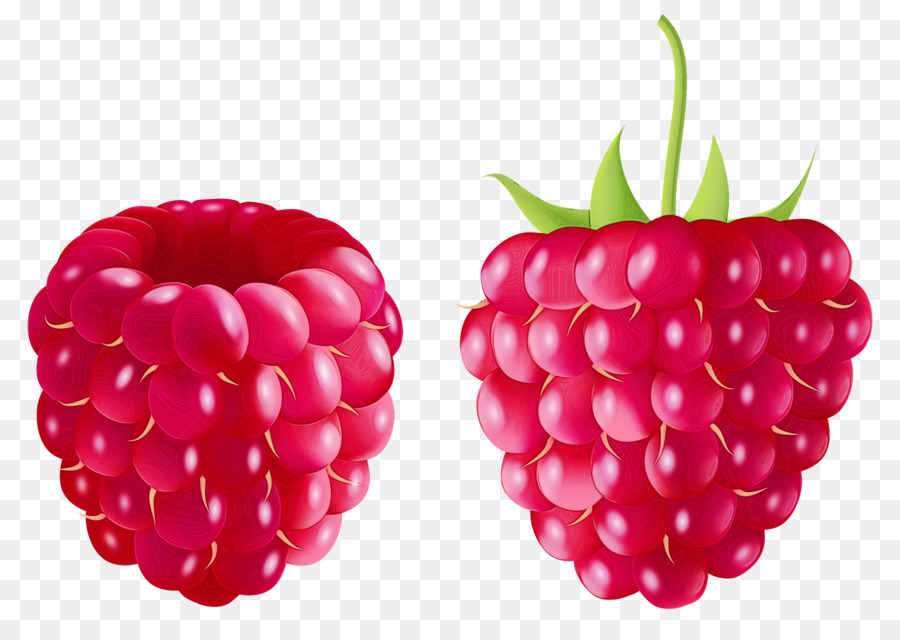 Framboesas，Fruta PNG