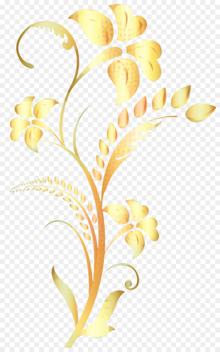 Desenho Floral，Flor PNG