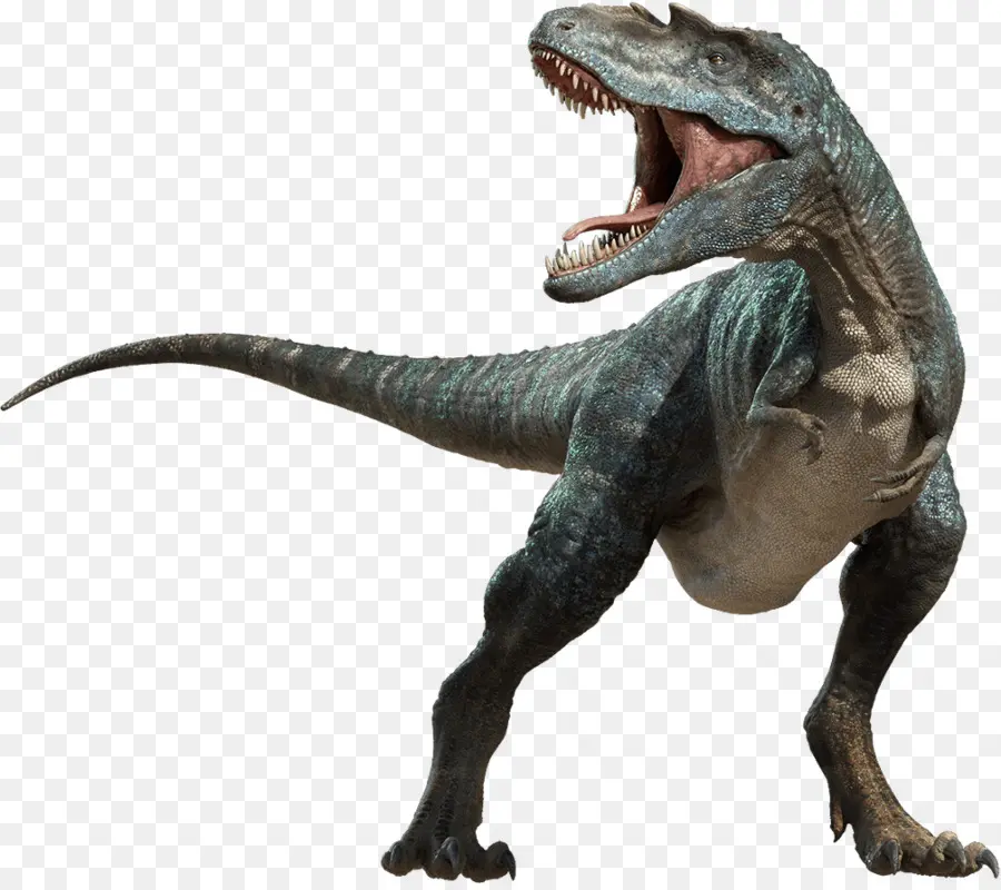 Dinossauro，Velociraptor PNG