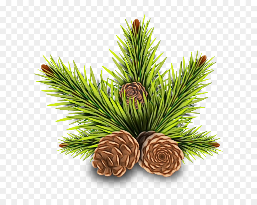 Pine，Enfeite De Natal PNG