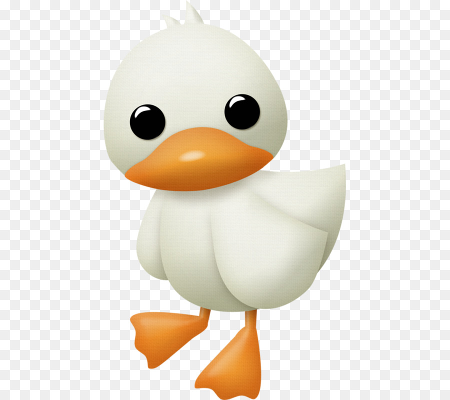 Pato，Pato De Borracha PNG