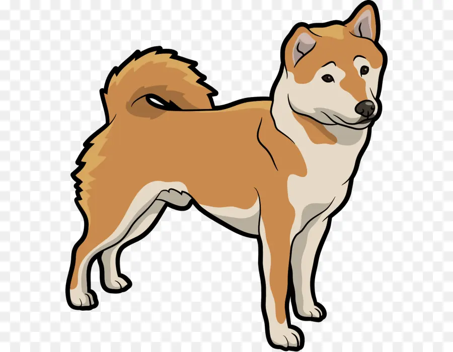 Shiba Inu，Spitz Finlandês PNG