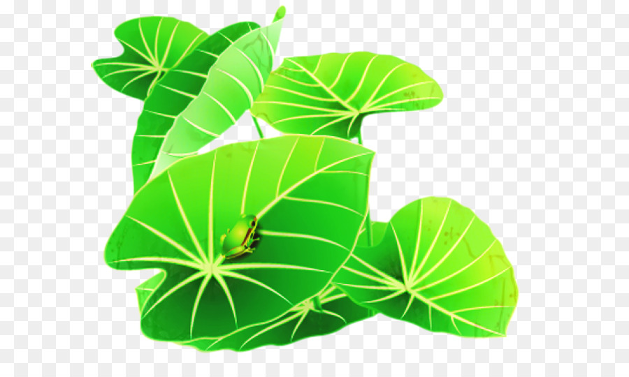 Folhas Verdes，Plantar PNG