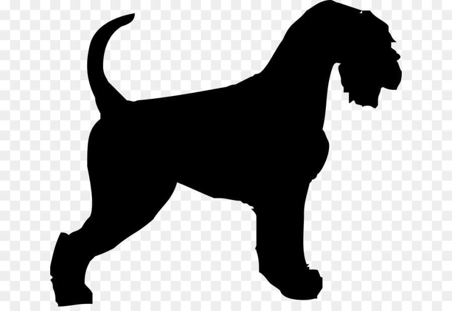 O Bloodhound，Beagle PNG