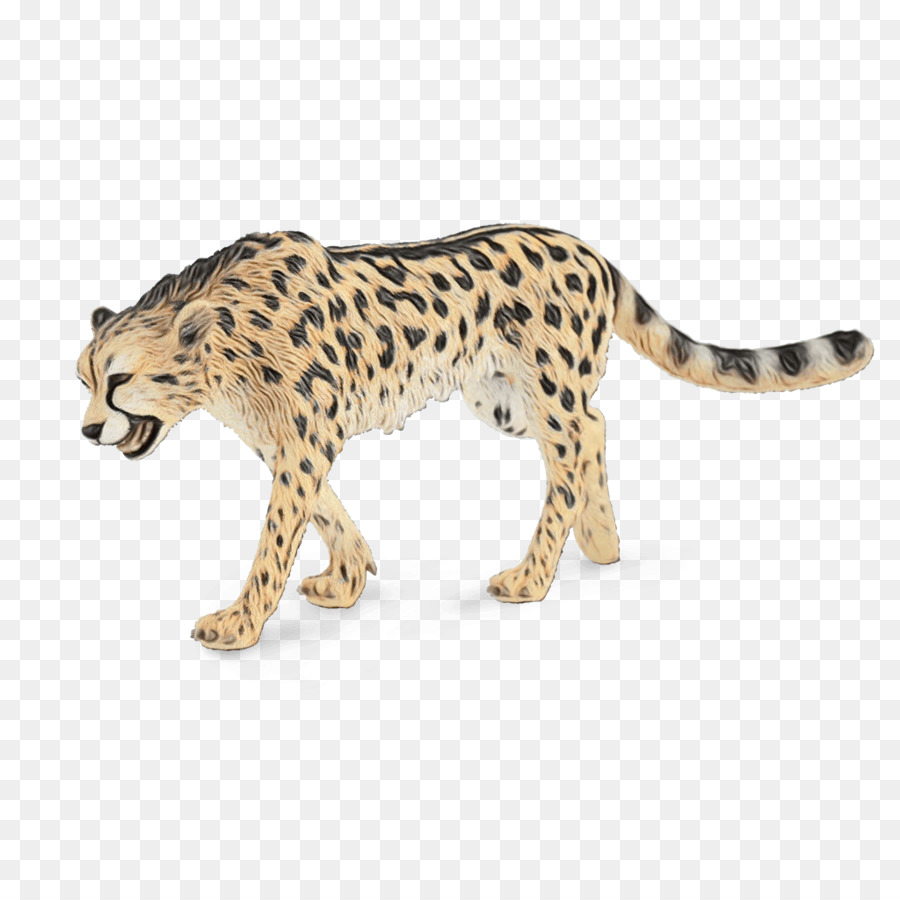 Cheetah，Leopard PNG