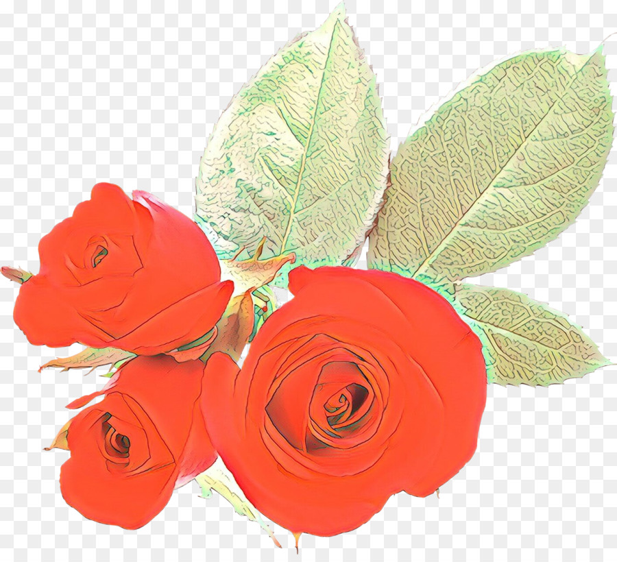 Rosas，Florescer PNG