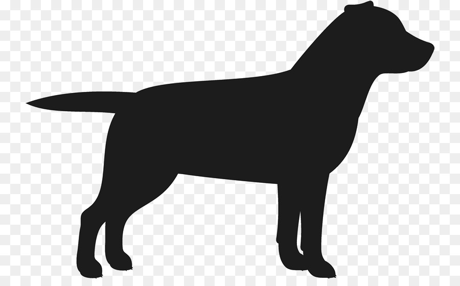 Labrador Retriever，Raça Do Cão PNG