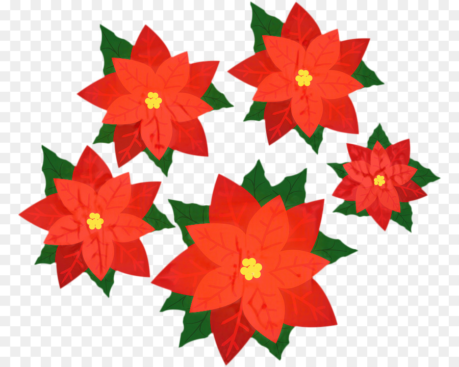 Design Floral，Enfeite De Natal PNG