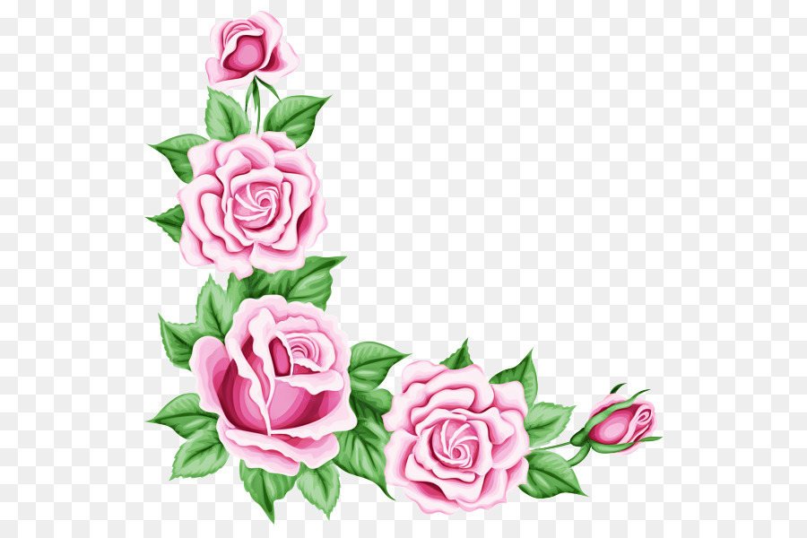 Rosa，Black Rose PNG