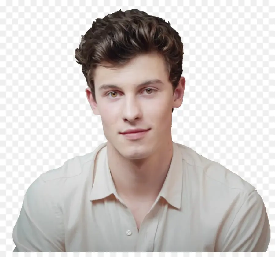 Shawn Mendes，Perseguindo Cameron PNG