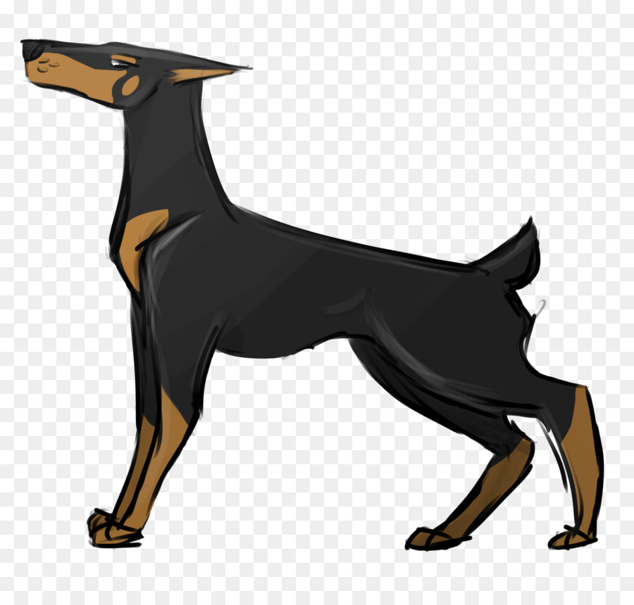 Dobermann，O Manchester Terrier PNG