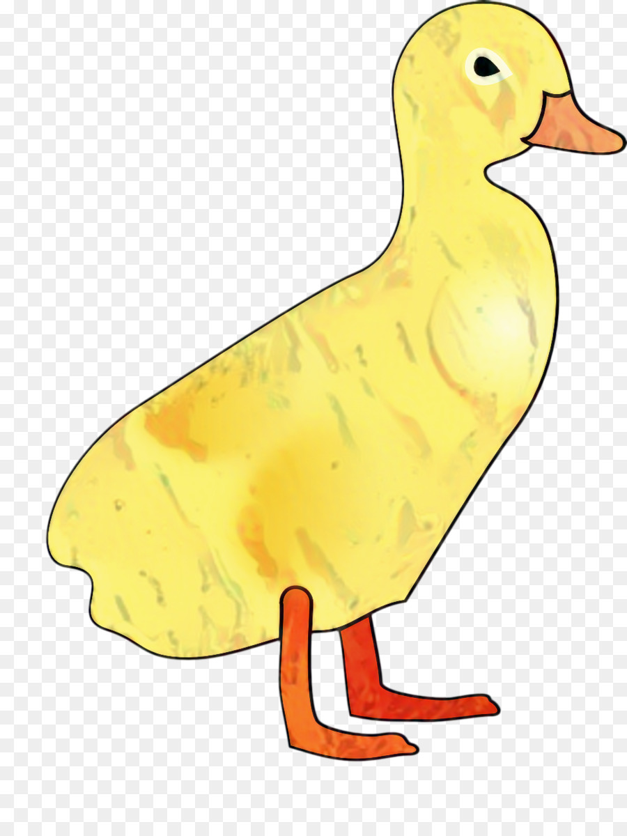 Pato，Pássaro PNG