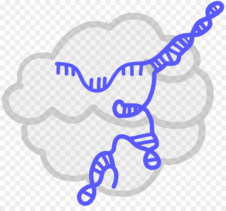 Crispr，Sistema Imunológico PNG