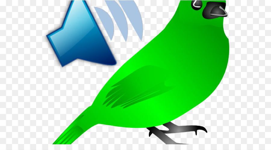 ícones Do Computador，Aves PNG