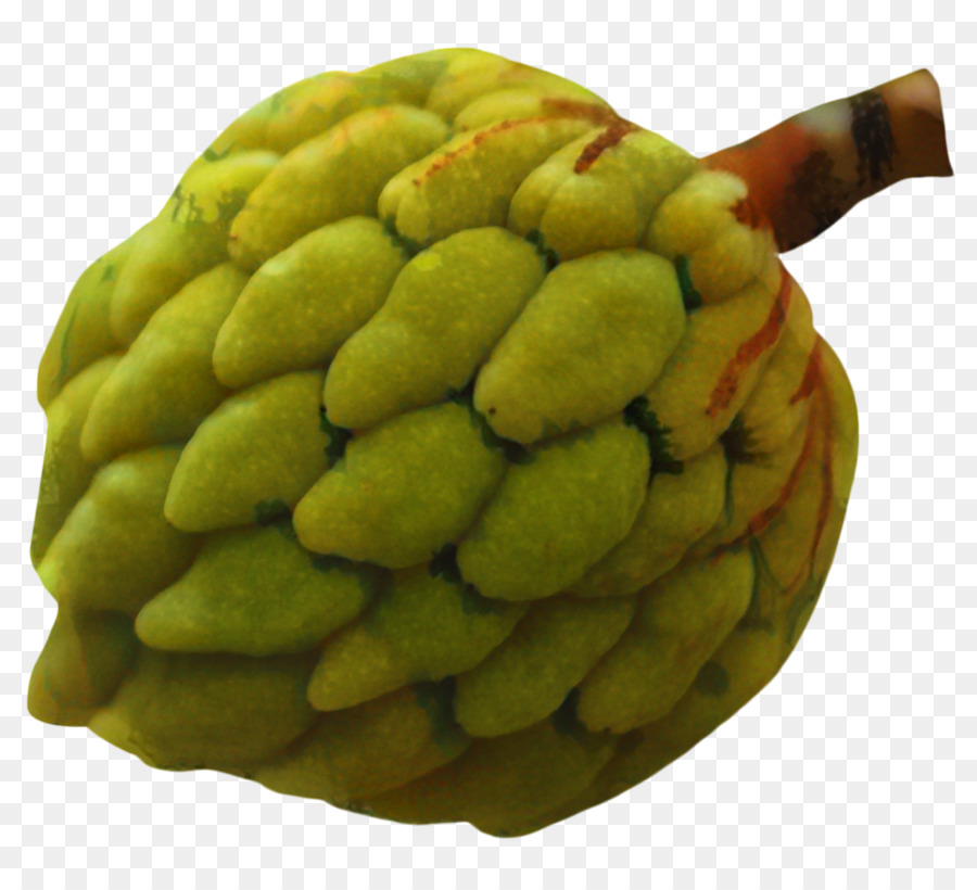 Graviola，Frutas PNG