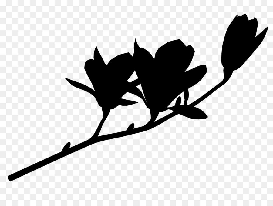 Flor，Florescer PNG